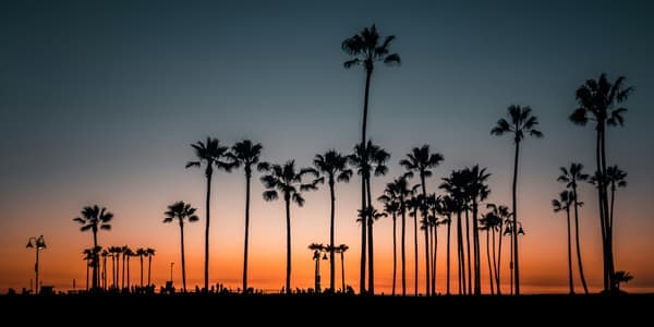 Los Angeles neighborhood